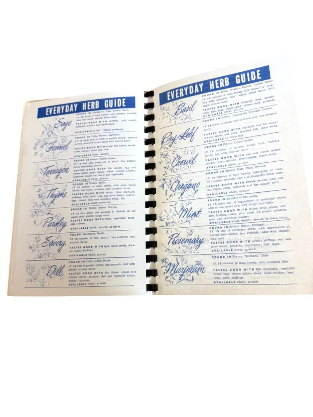 Our Daily Bread Cookbook Siniaville United Methodist Church WV Southern Recies